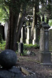 Friedhof Estherweg